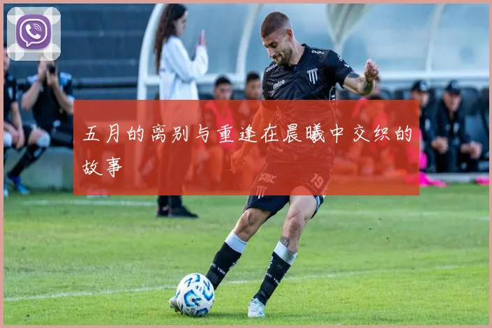 五月的离别与重逢在晨曦中交织的故事